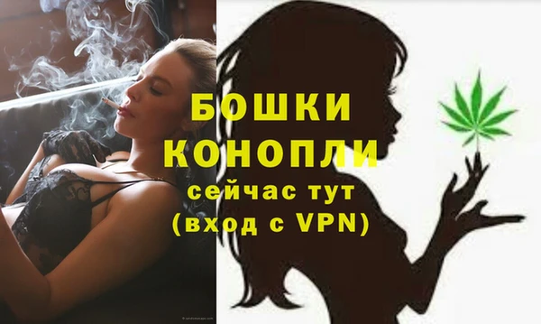 гашик Щёлкино