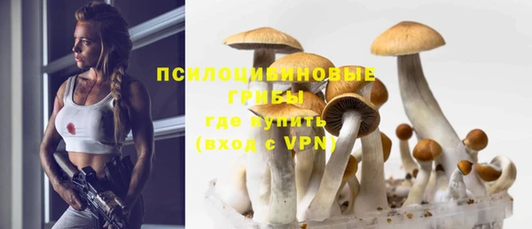 прущий лед Яровое