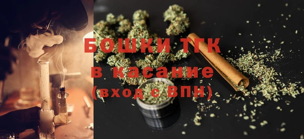 PSILOCYBIN Новоуральск